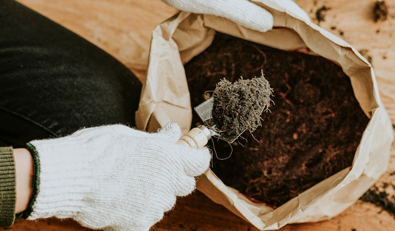 Vermicomposting & Organic Fertilizer Business