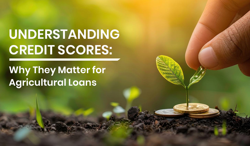 understanding-credit-scores-why-they-matter-for-agricultural-loans